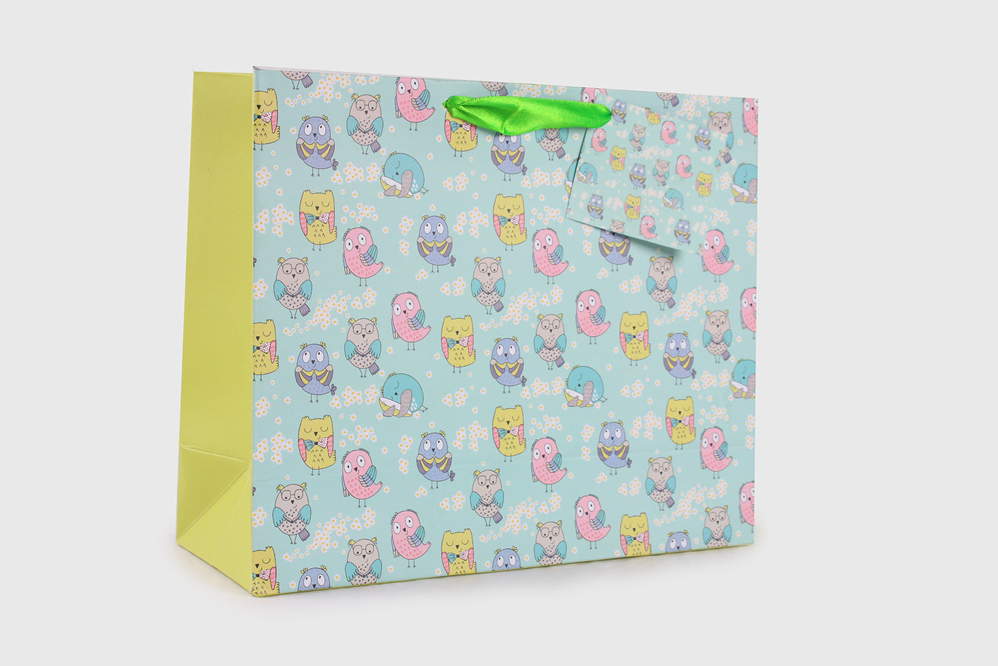Owl Theme Gift Bag Medium